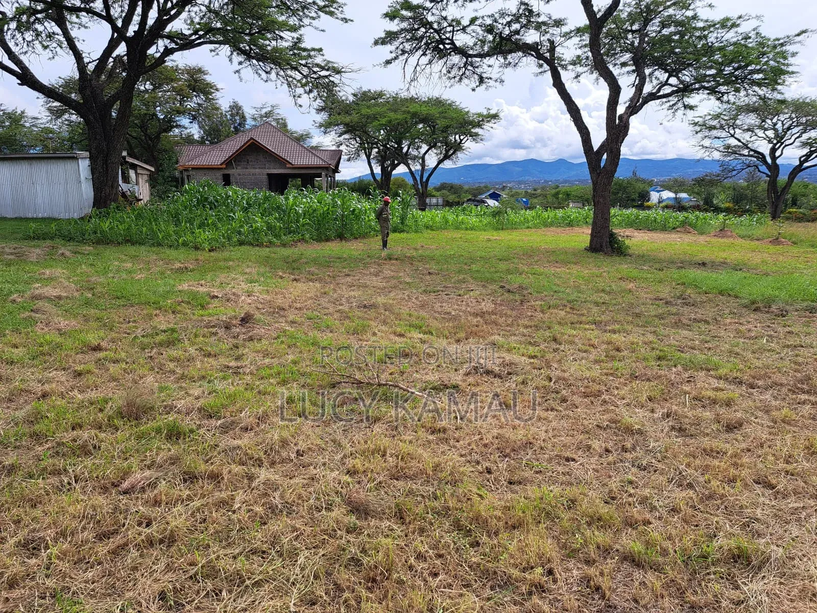 Scenic 6 Acre Land in 2 Titles of 3 Acres in Kandisi in Kandisi