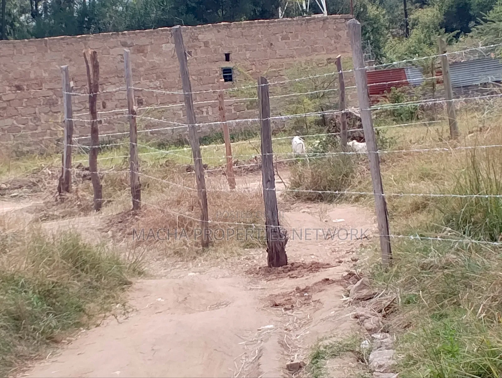 50 by 100ft Plot -at Machakos Sweatwaters Shopping Center in Machakos Town