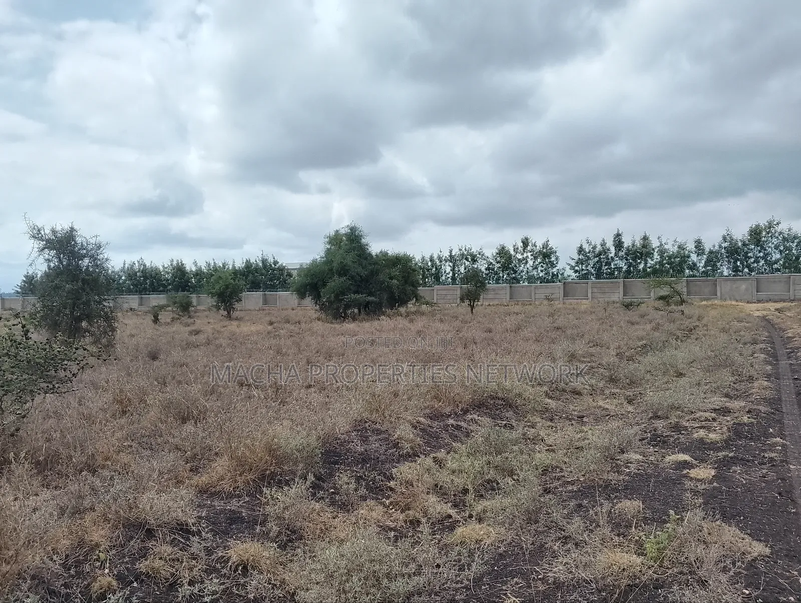 Konza 6 Plots Onsale Joined -Price 1.8m. in Machakos Town