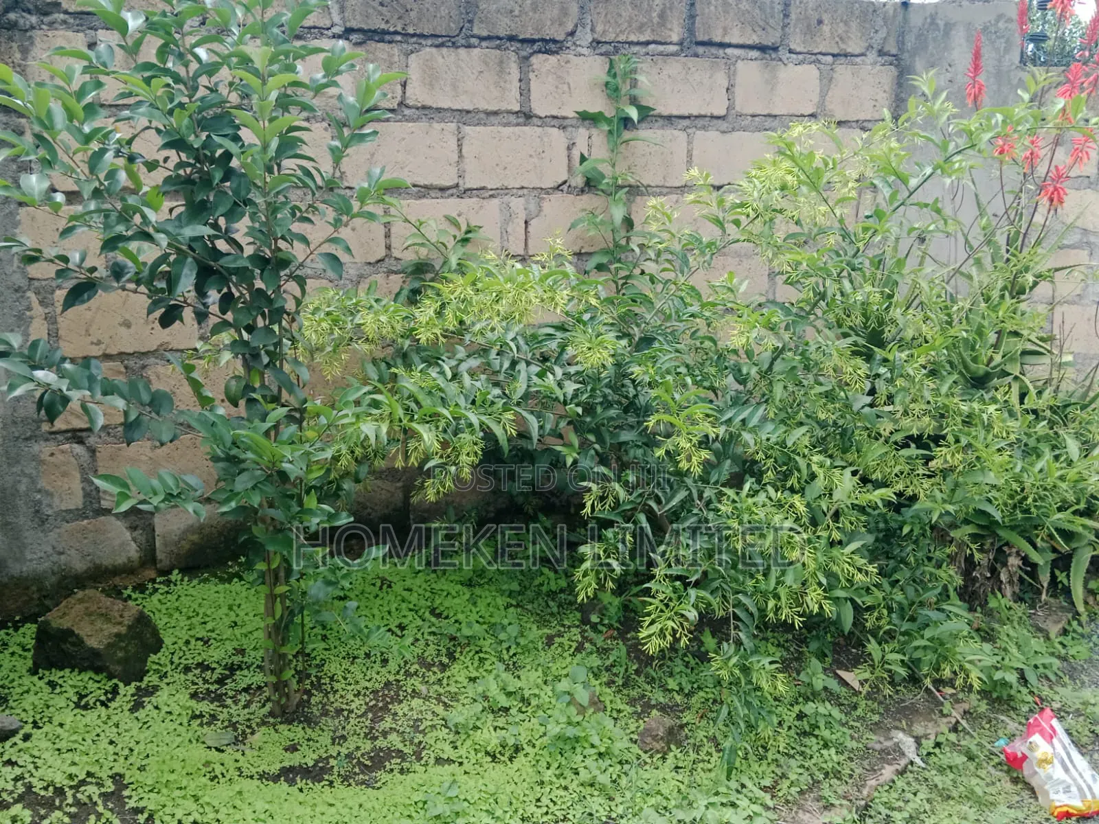 4bdrm Bungalow in Kiserian Town for rent in Kiserian