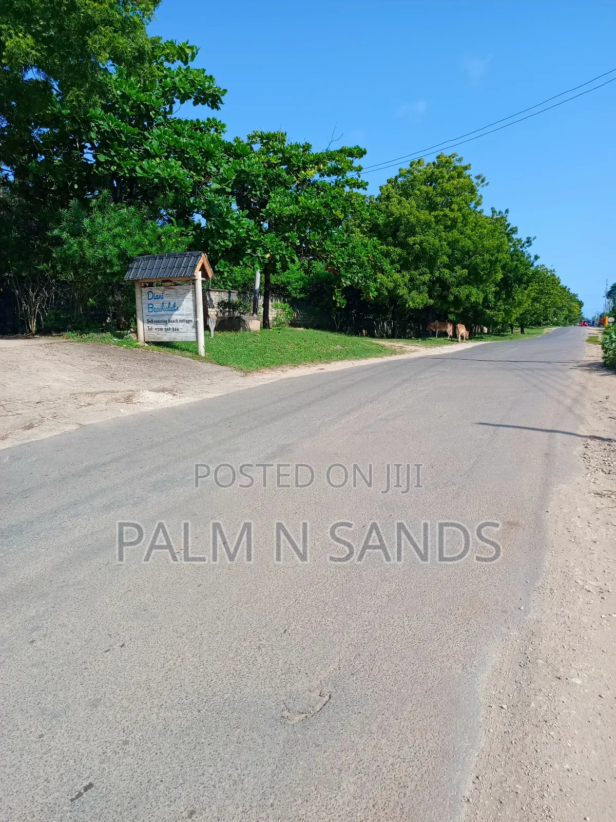 3.1 Acres Touching Diani Beach Road on Sale! in Ukunda