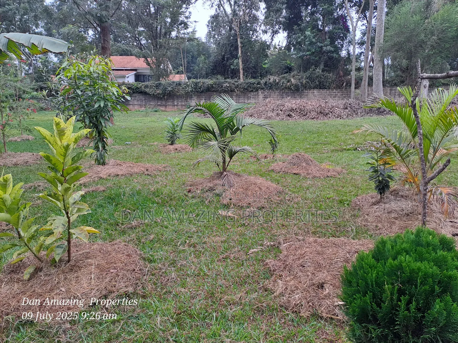 1 Acre Red Soil in Karen Windridge Touching Tarmac for Sale in Karen