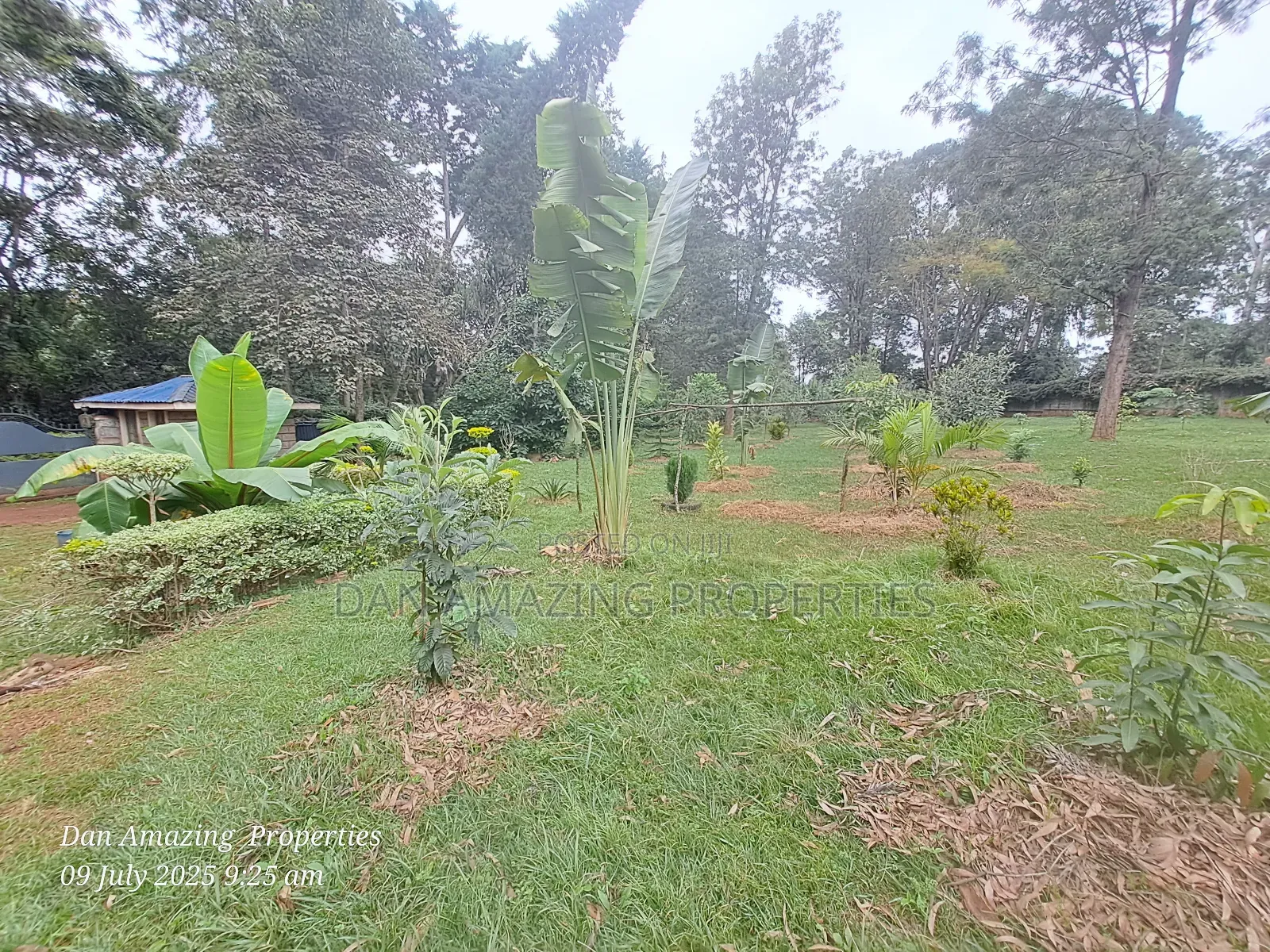 1 Acre Red Soil in Karen Windridge Touching Tarmac for Sale in Karen