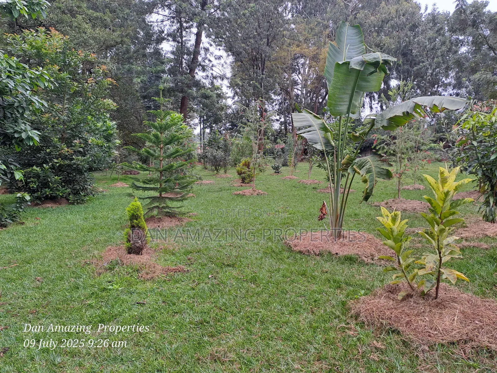 1 Acre Red Soil in Karen Windridge Touching Tarmac for Sale in Karen