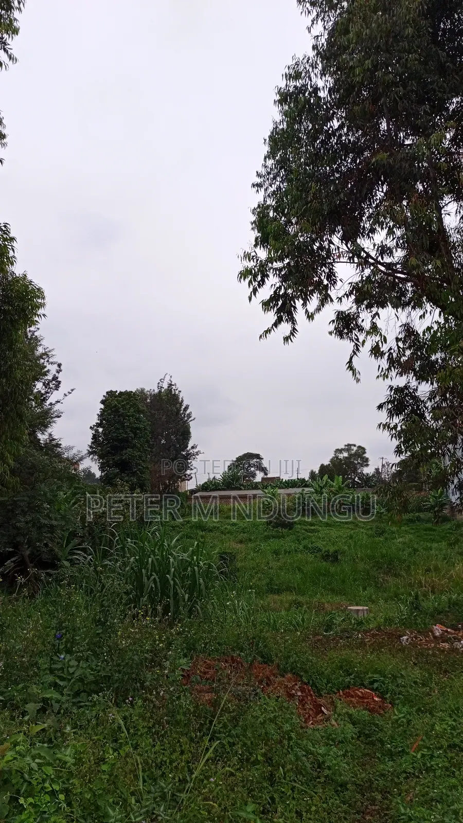 Prime One Acre Kiambu Road in Kiambu / Kiambu 