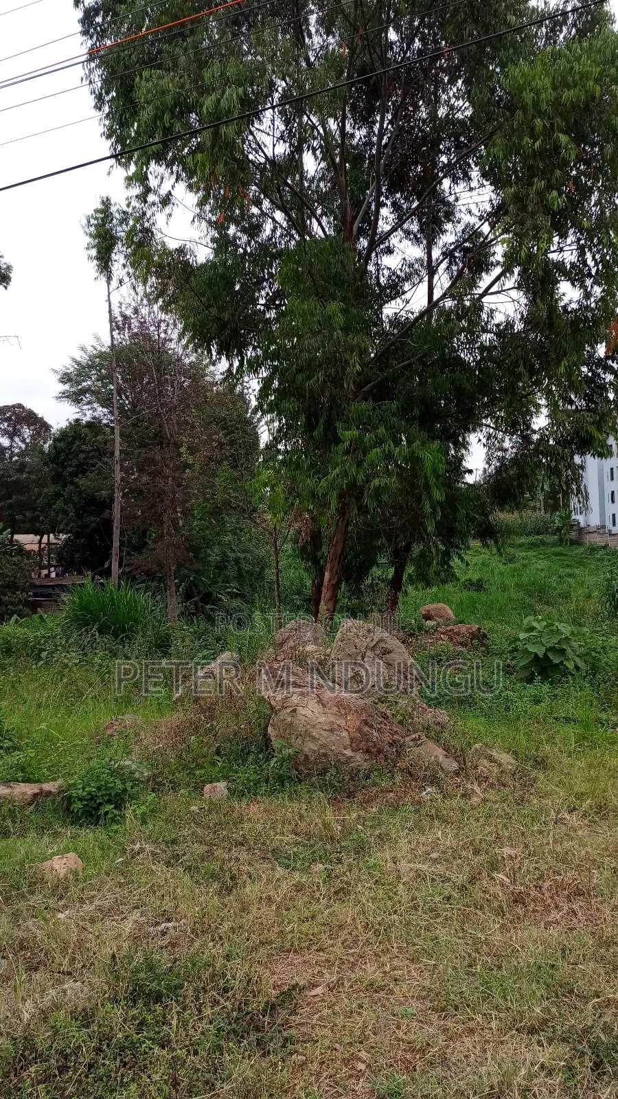 Prime One Acre Kiambu Road in Kiambu / Kiambu 