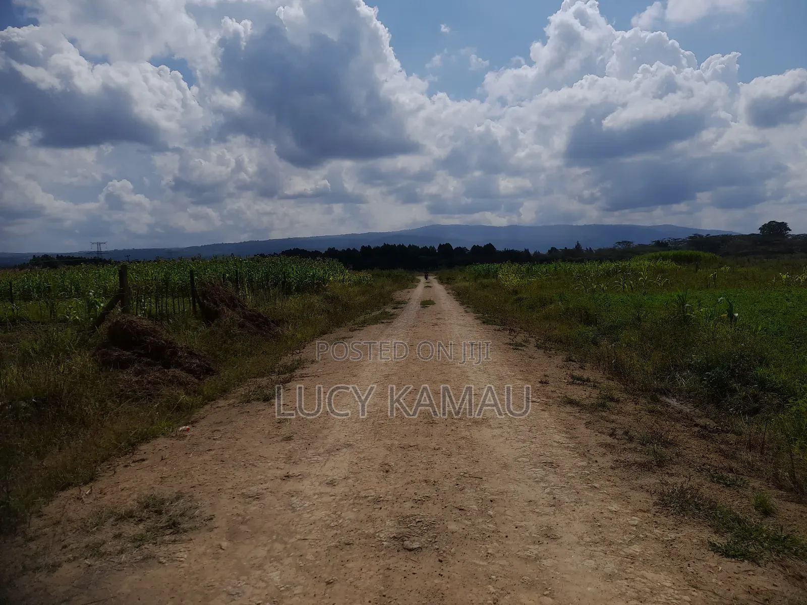 50x100 Prime Plots 300 Meters From Salagaa Tarmac in Salgaa