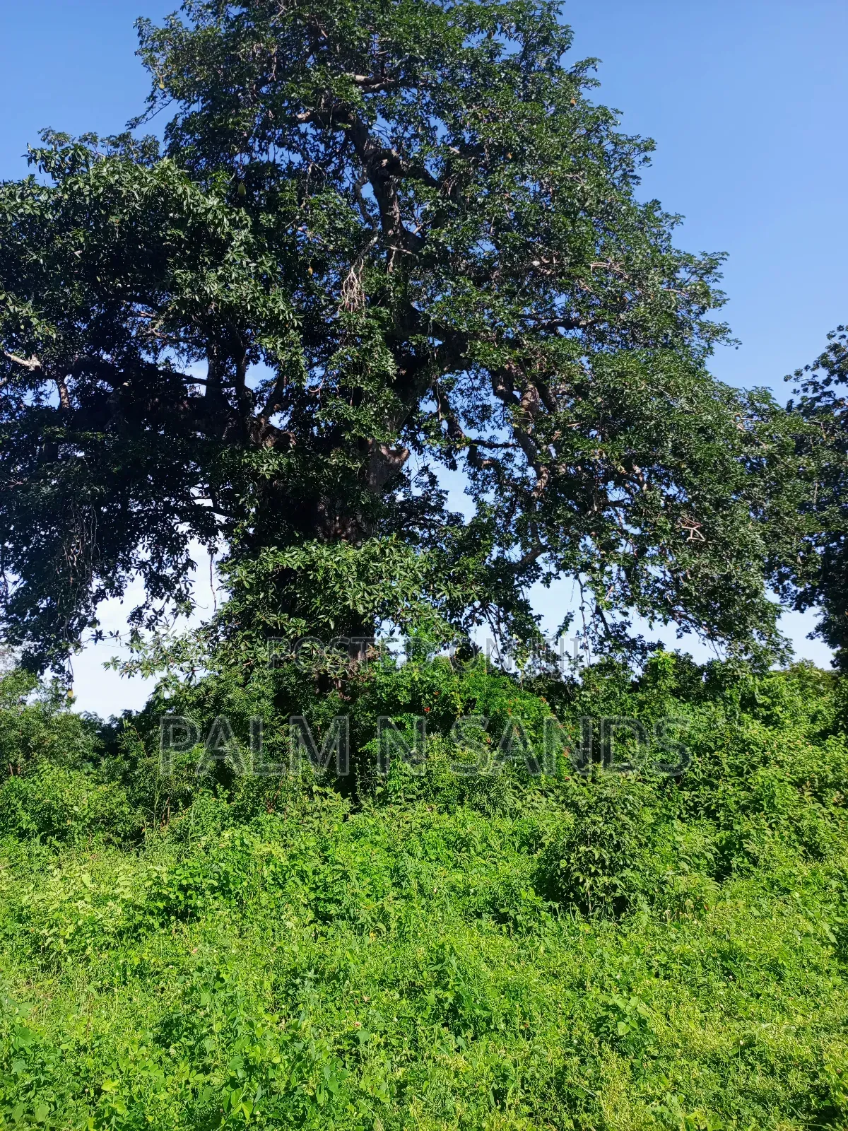 1 Acre on Sale Behind Manyatta Restaurant Diani in Ukunda