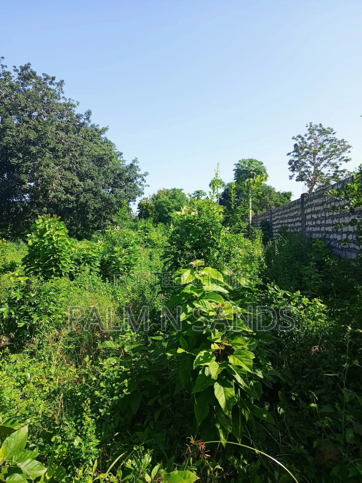 1 Acre on Sale Behind Manyatta Restaurant Diani in Ukunda