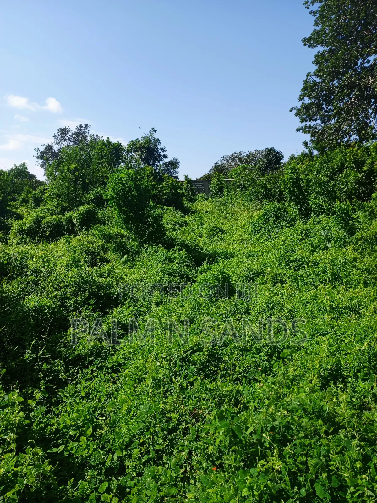 1 Acre on Sale Behind Manyatta Restaurant Diani in Ukunda