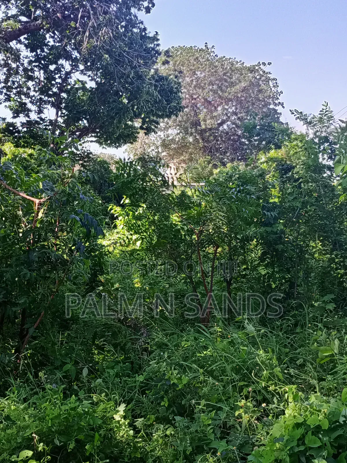 1 Acre on Sale Behind Manyatta Restaurant Diani in Ukunda