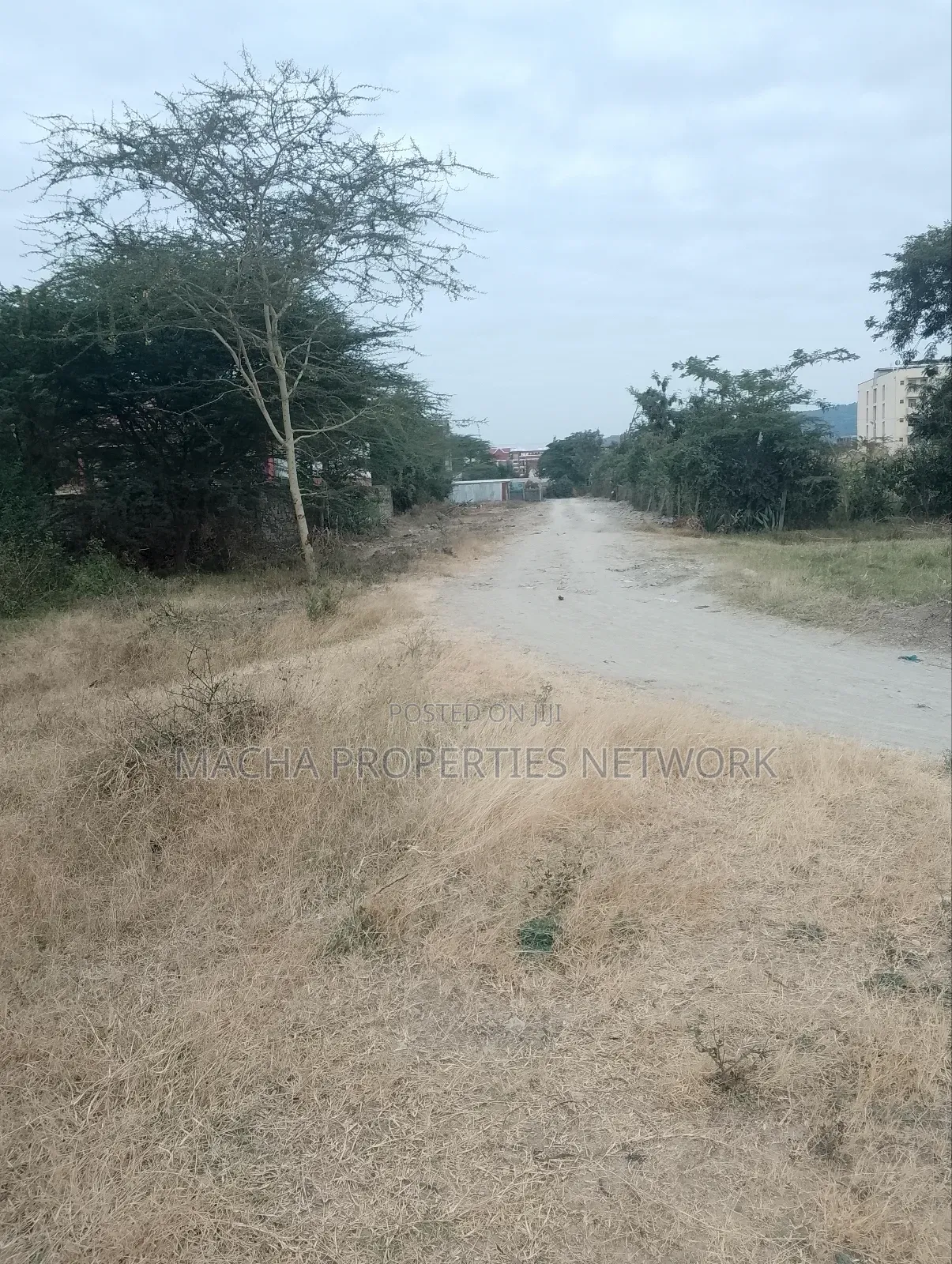 Prime Plot 40 by 90ft-Kenya Israel Price 2.5m in Machakos Town