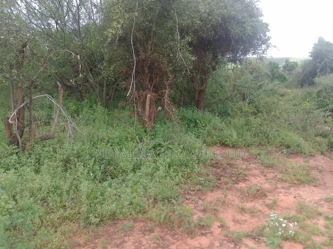 400 Acres Block Near Simba Cement Is Available for Sale in Loitoktok