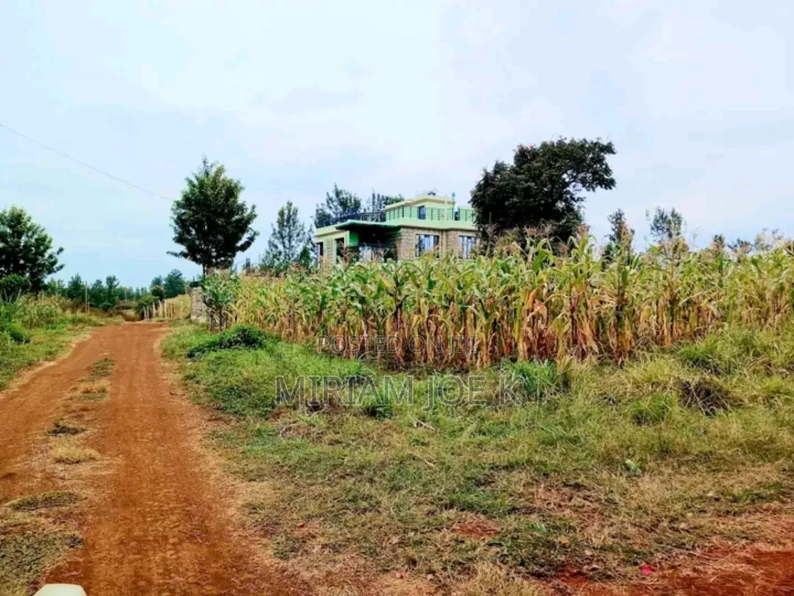 Ruiru Twiga in Ruiru