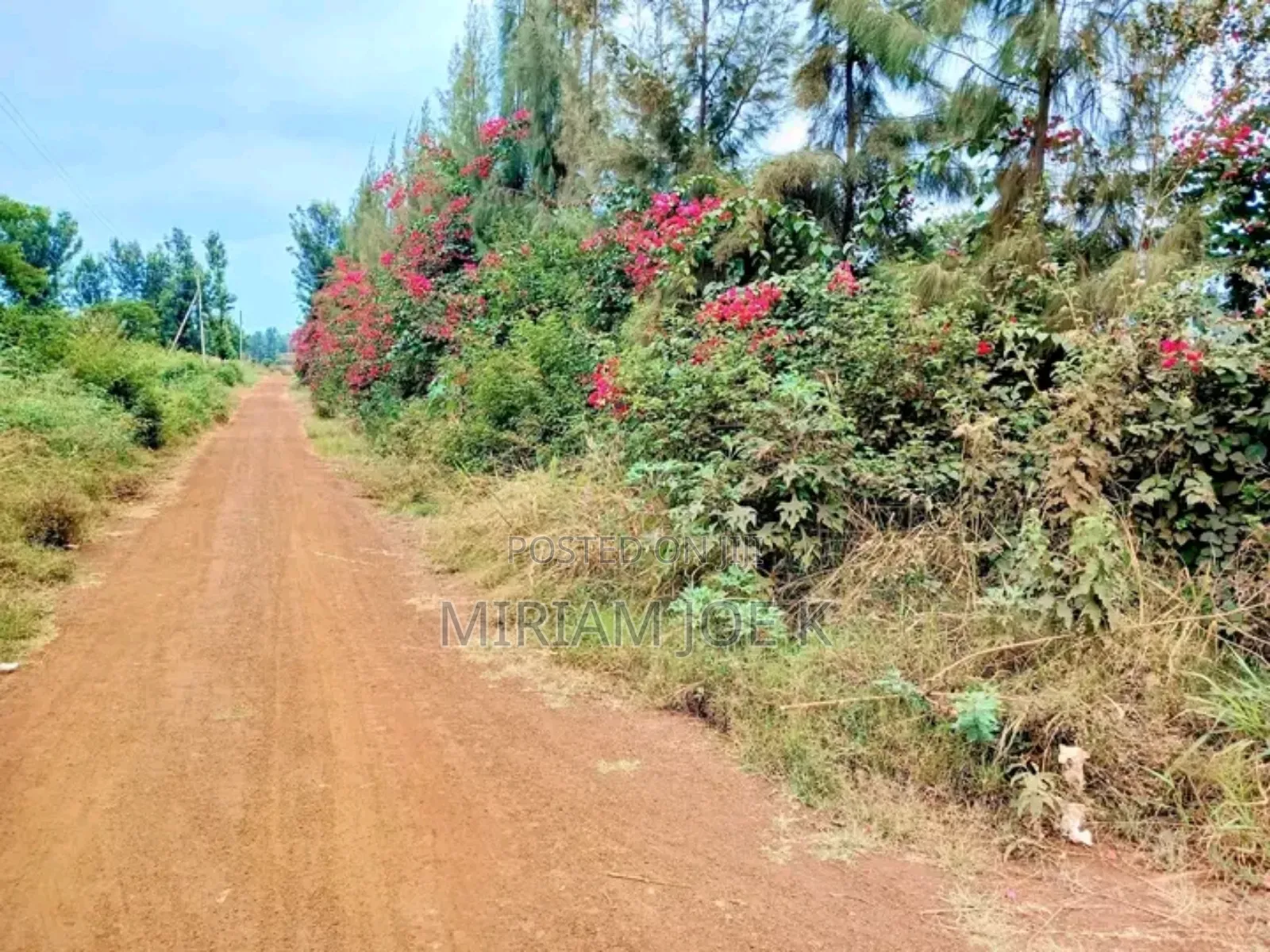 Ruiru Twiga in Ruiru