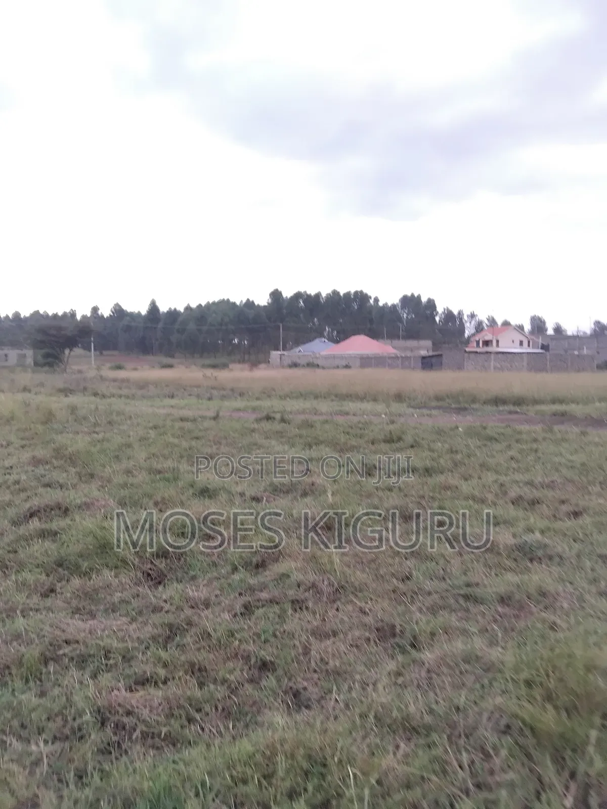 Juja 50x100 Plots. in Juja
