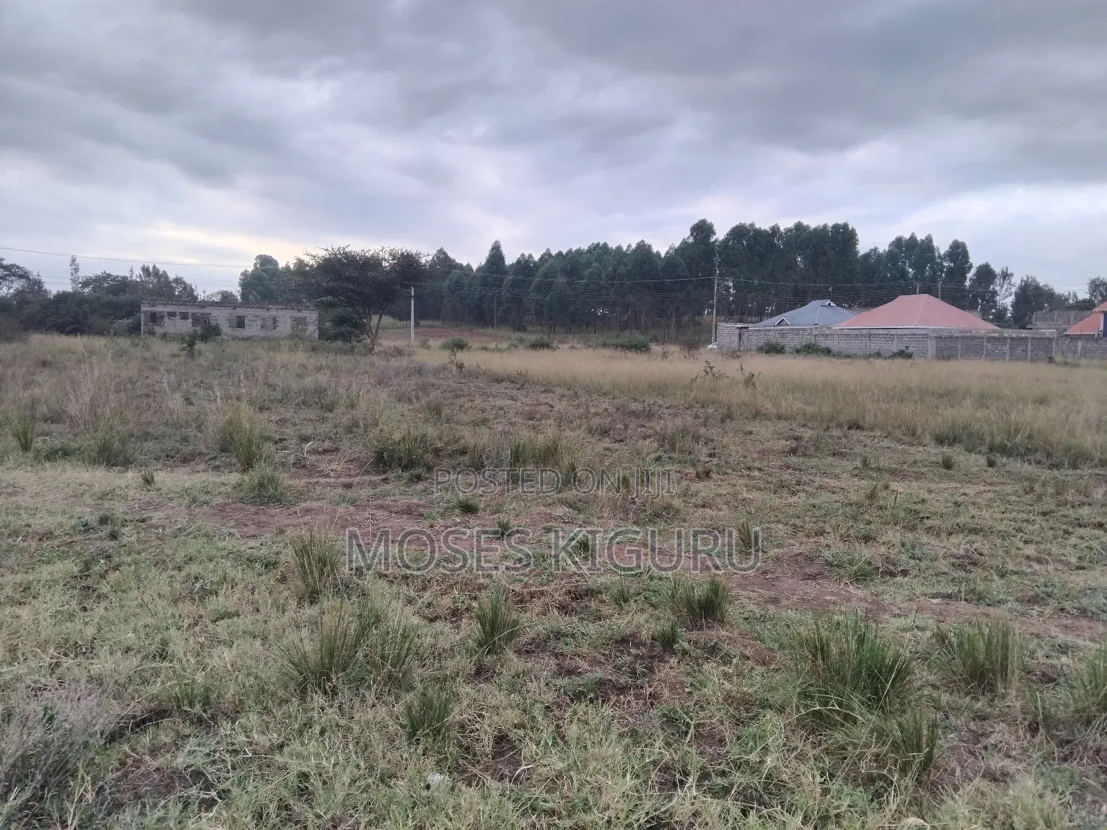 Juja 50x100 Plots. in Juja