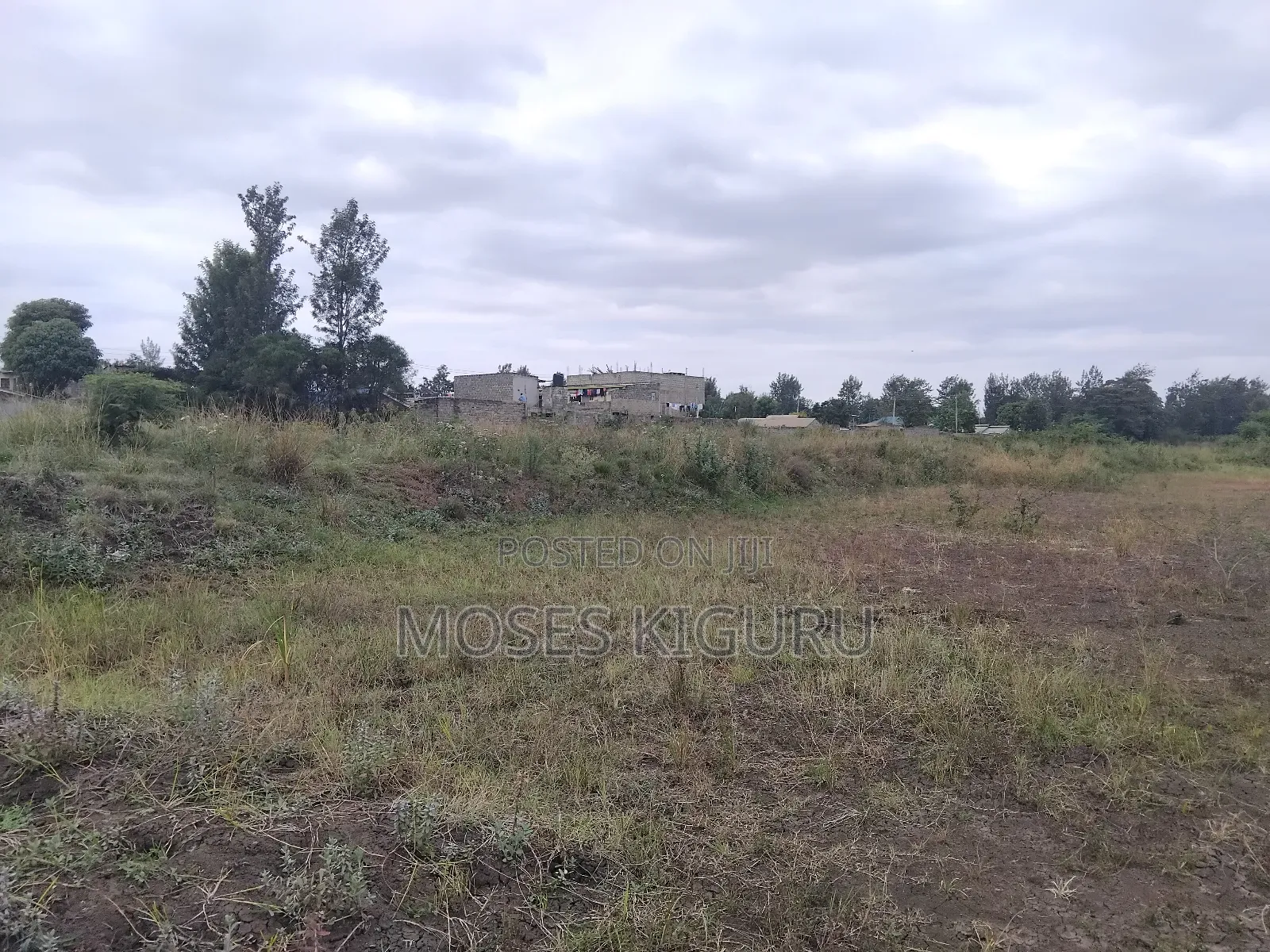 Juja 50x100 Plots. in Juja