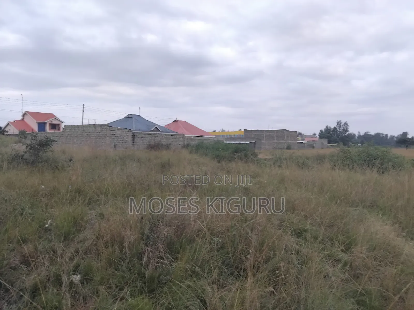 Juja 50x100 Plots. in Juja