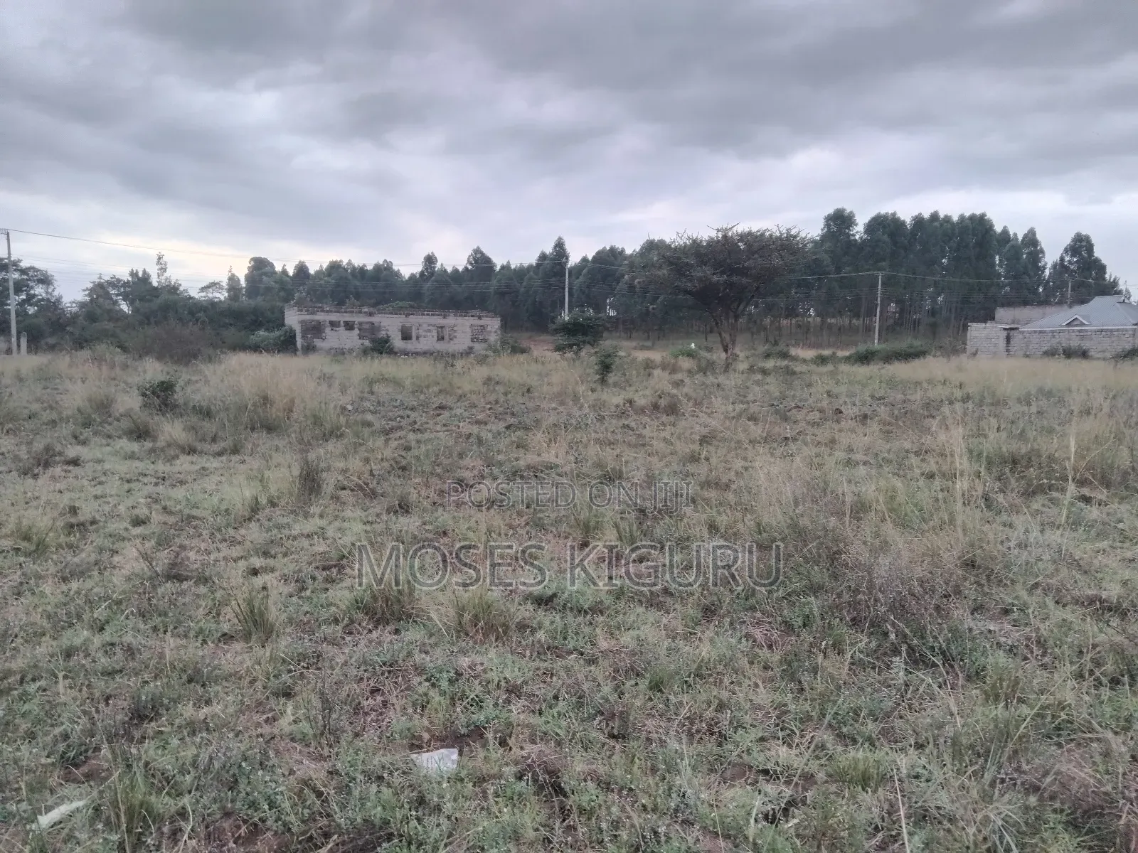Juja 50x100 Plots. in Juja