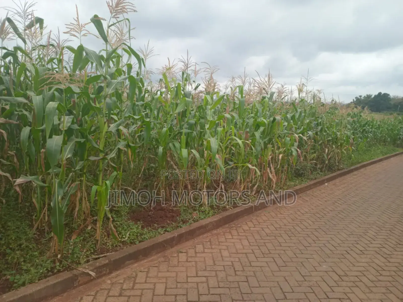 Land in Kitusuru for Sale in Kitisuru