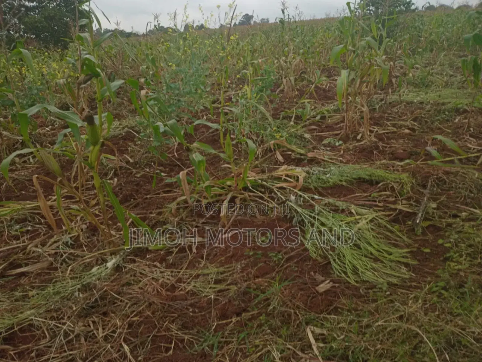 Land in Kitusuru for Sale in Kitisuru