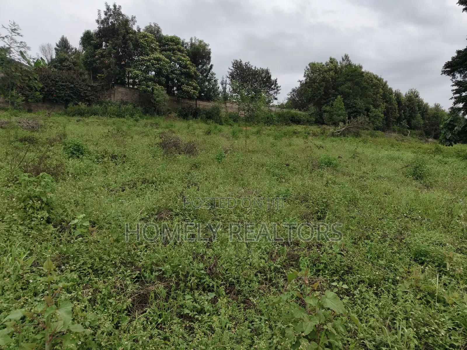 Eighth Acre Plot in Kerarapon Drive, Ngong 100m From Tarmac in Kerarapon