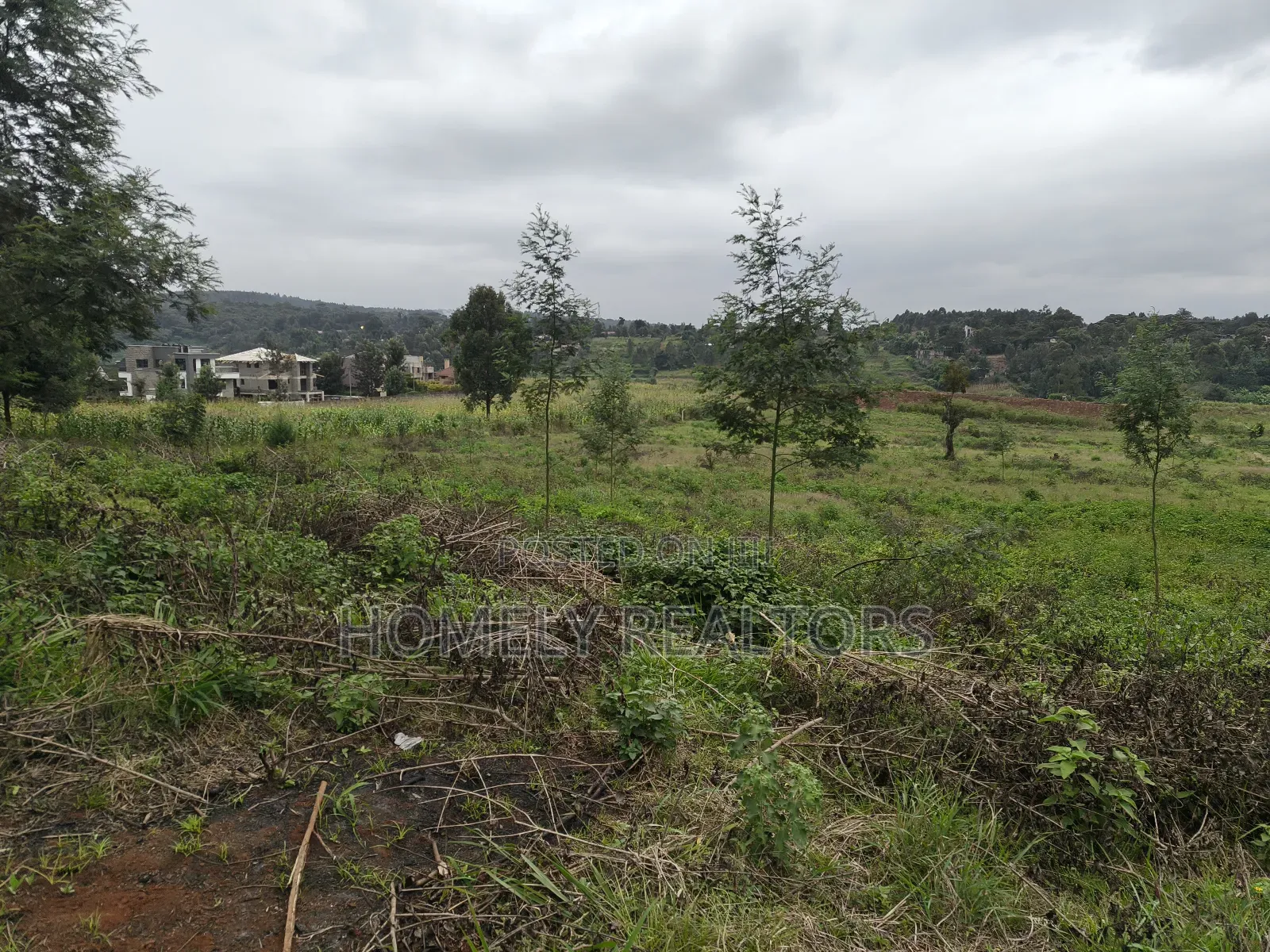 Eighth Acre Plot in Kerarapon Drive, Ngong 100m From Tarmac in Kerarapon