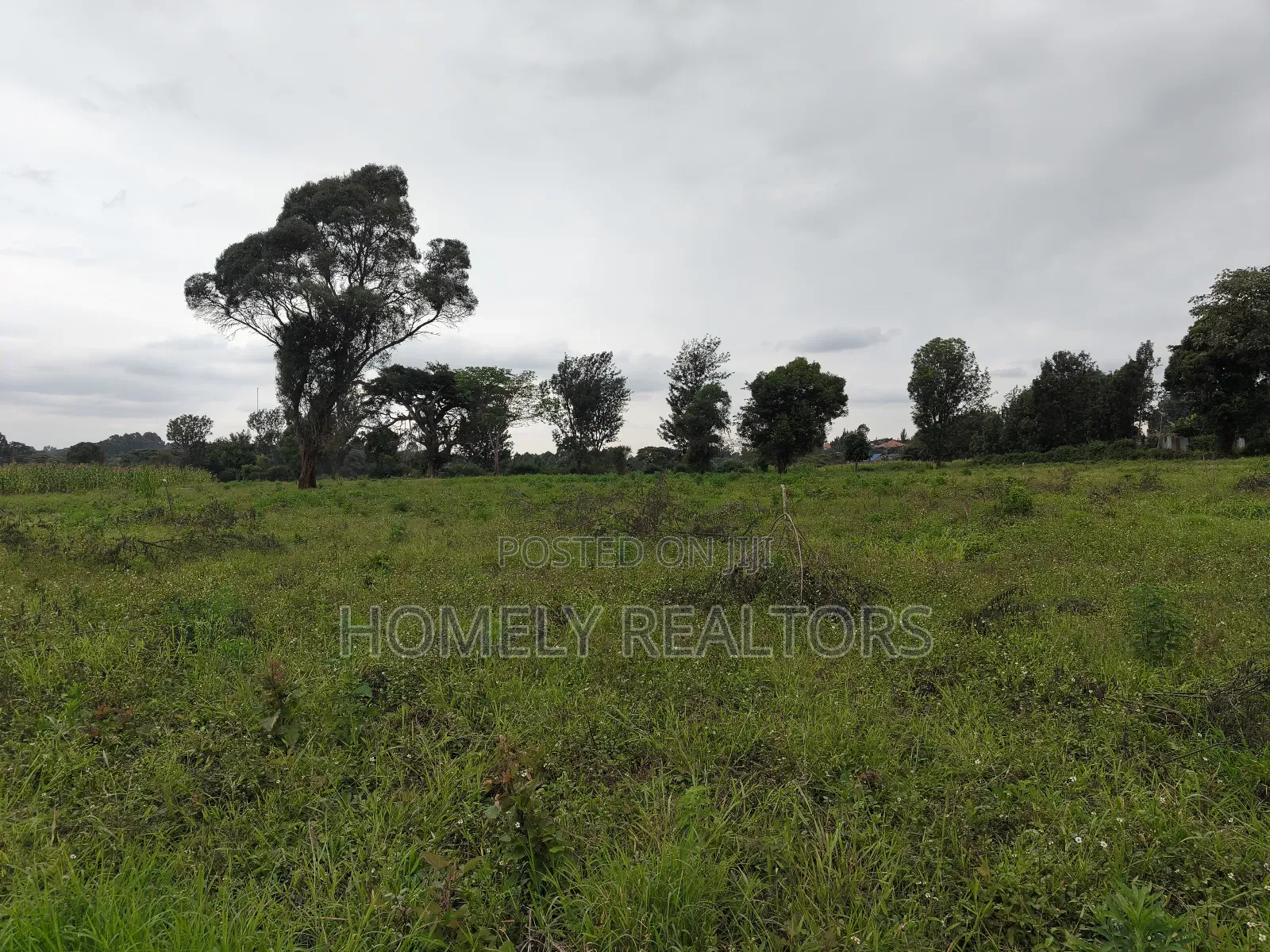 Quarter Acre Plot in Kerarapon Drive, Ngong 100m From Tarmac in Kerarapon