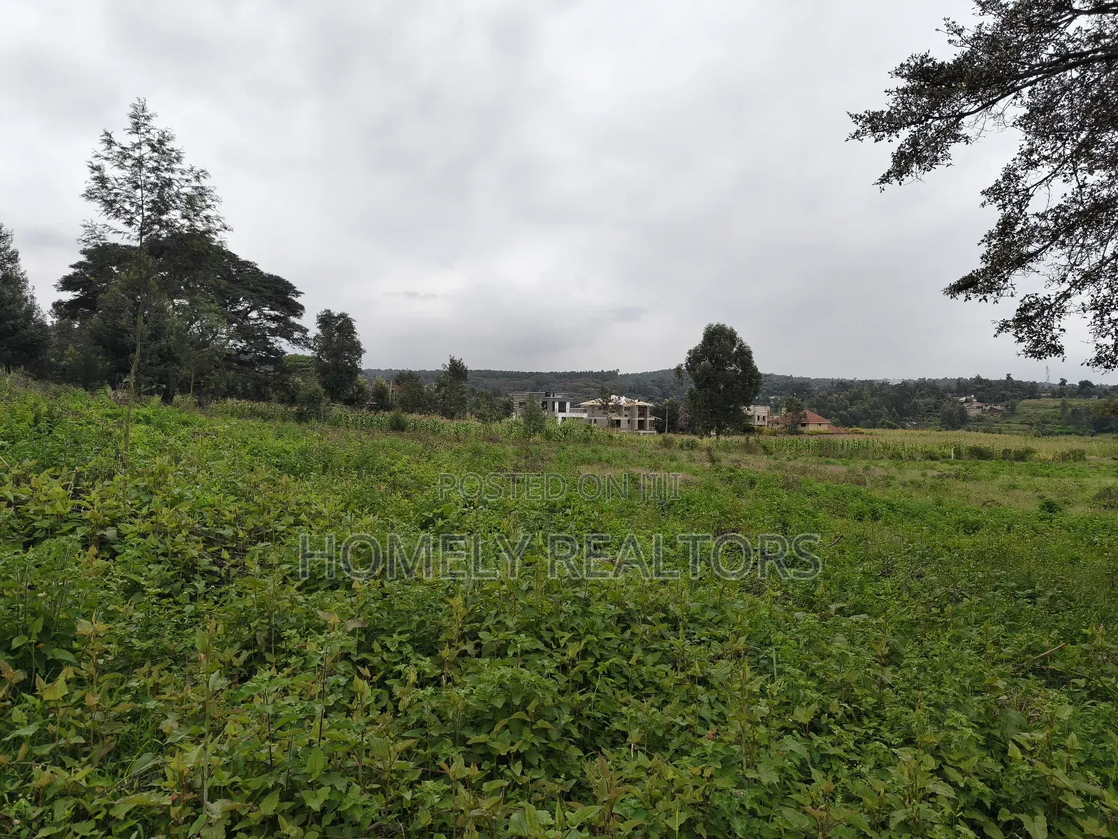 Half Acre Plot in Kerarapon Drive, Ngong 100m From Tarmac in Kerarapon