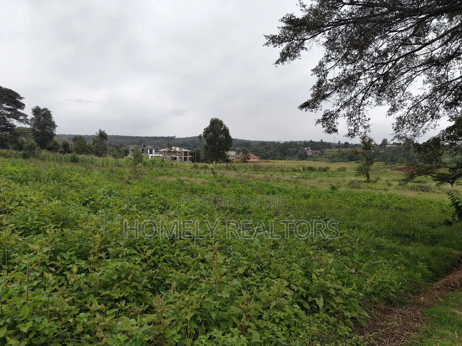 Half Acre Plot in Kerarapon Drive, Ngong 100m From Tarmac in Kerarapon