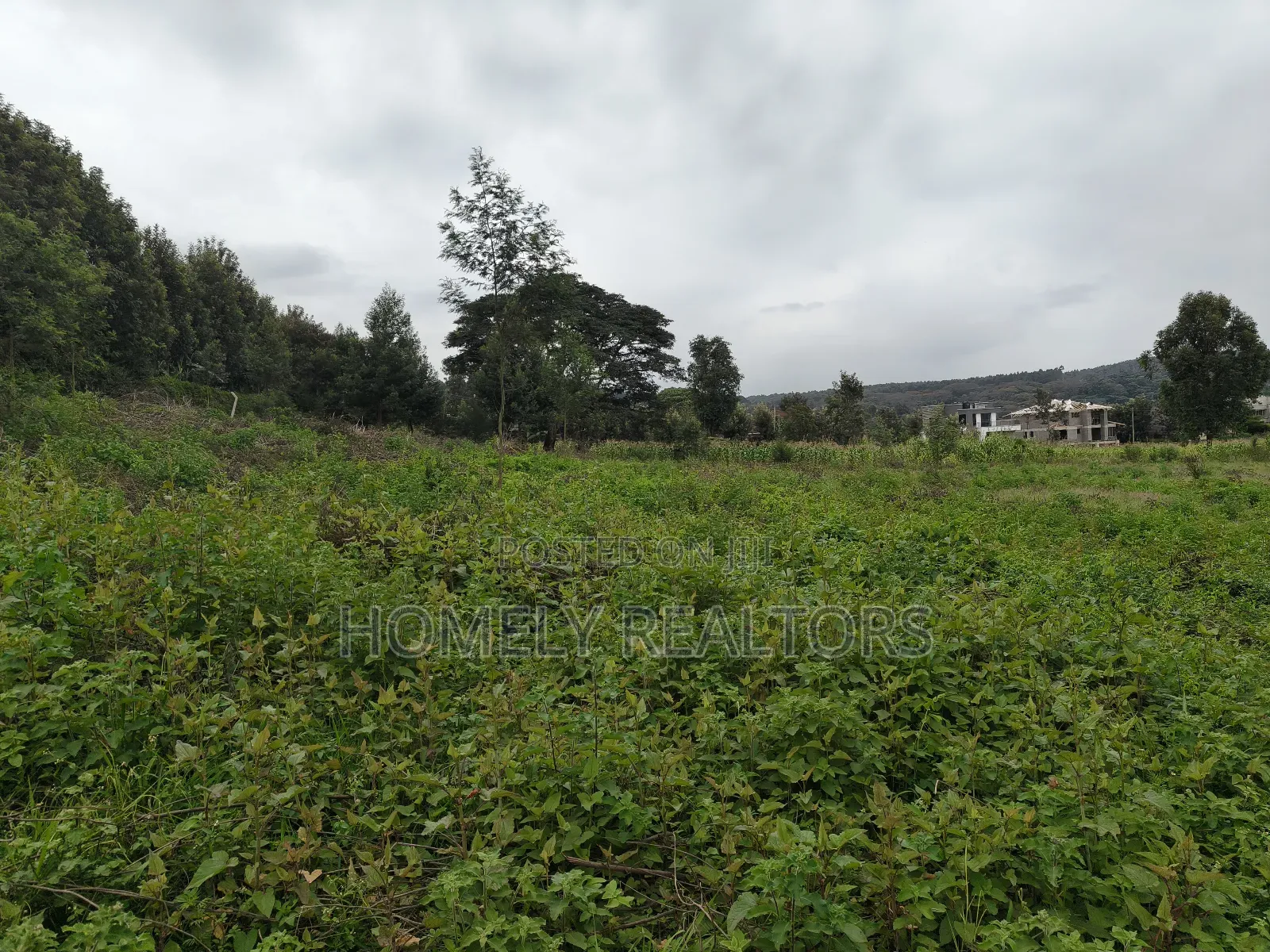 Half Acre Plot in Kerarapon Drive, Ngong 100m From Tarmac in Kerarapon