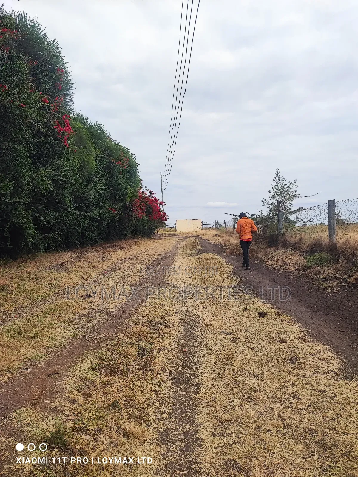 5 to 10 Acres in Kitengela Ostrich Farm in Kitengela