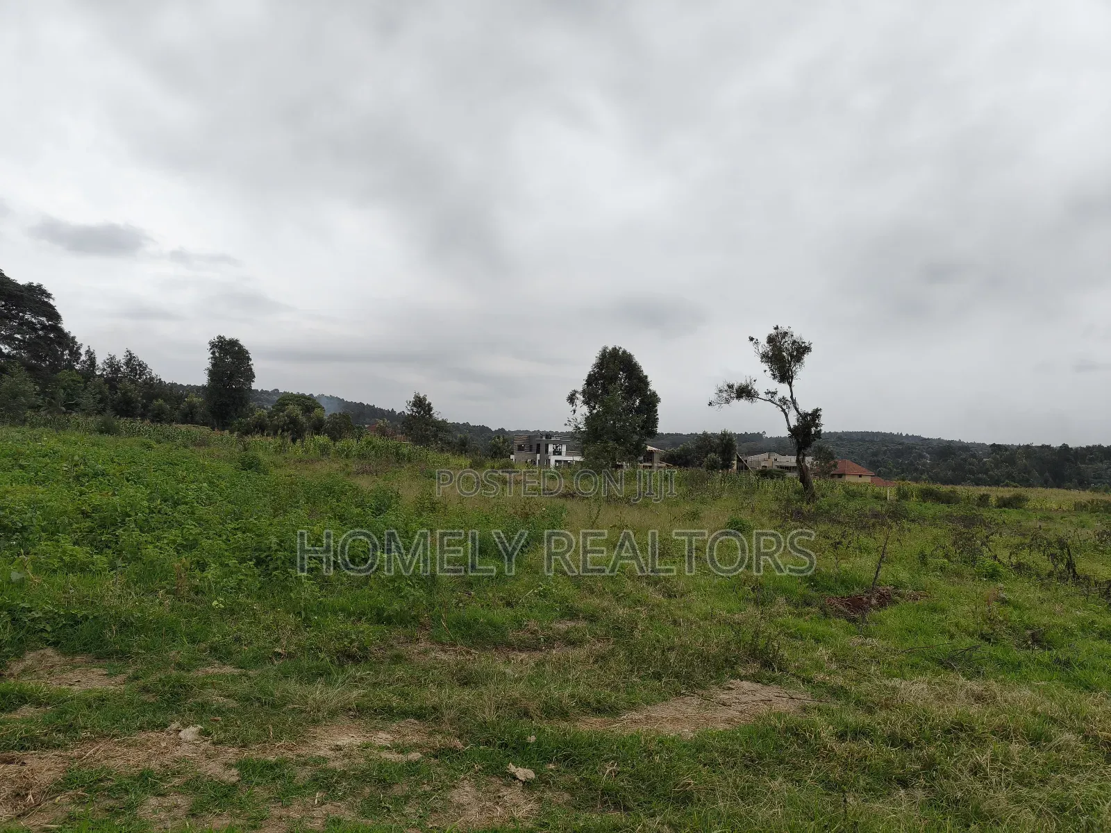 3.5 Acres of Land in Kerarapon Drive Ngong 250mtrs From Tarmac in Kerarapon