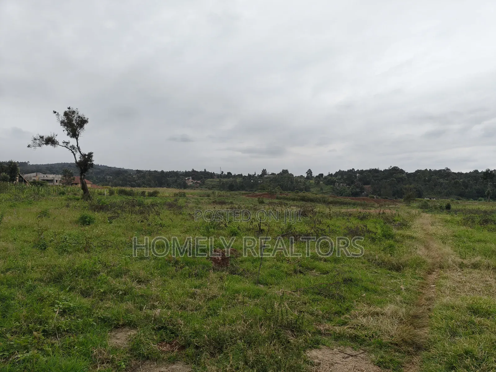 3.5 Acres of Land in Kerarapon Drive Ngong 250mtrs From Tarmac in Kerarapon