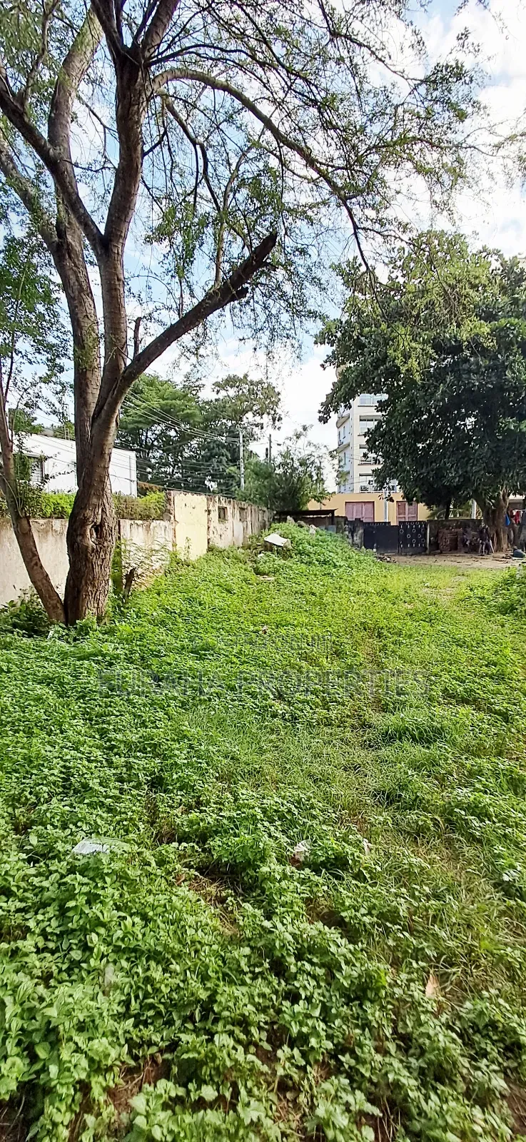 For Sale Half Acre Land Tudor in Tudor