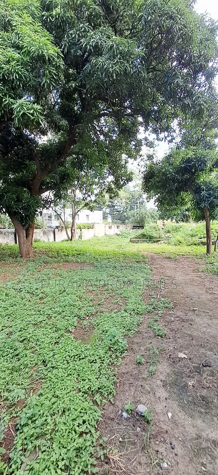 For Sale Half Acre Land Tudor in Tudor