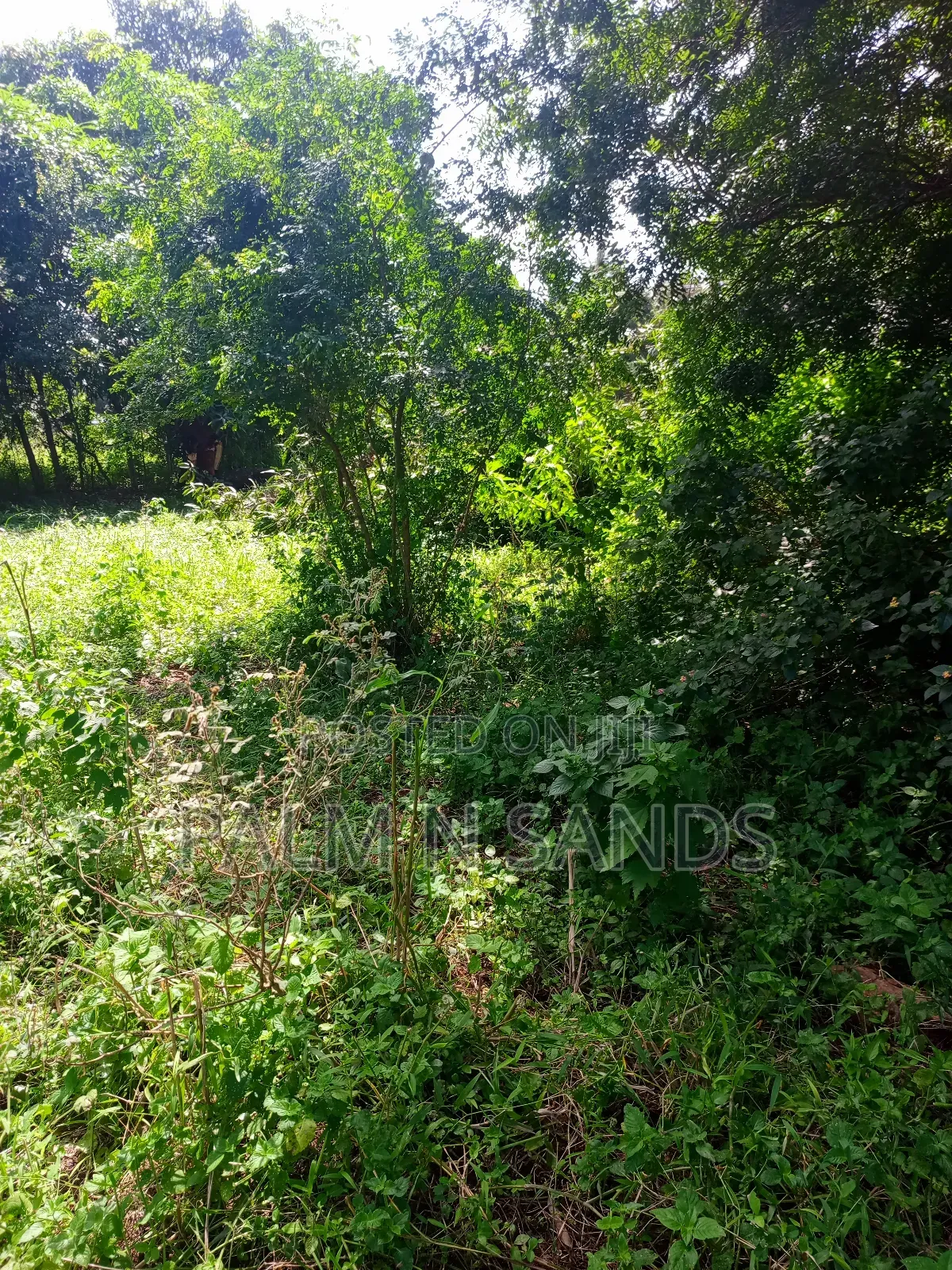 1/4 Acre on Sale in Mvideni Diani! in Ukunda