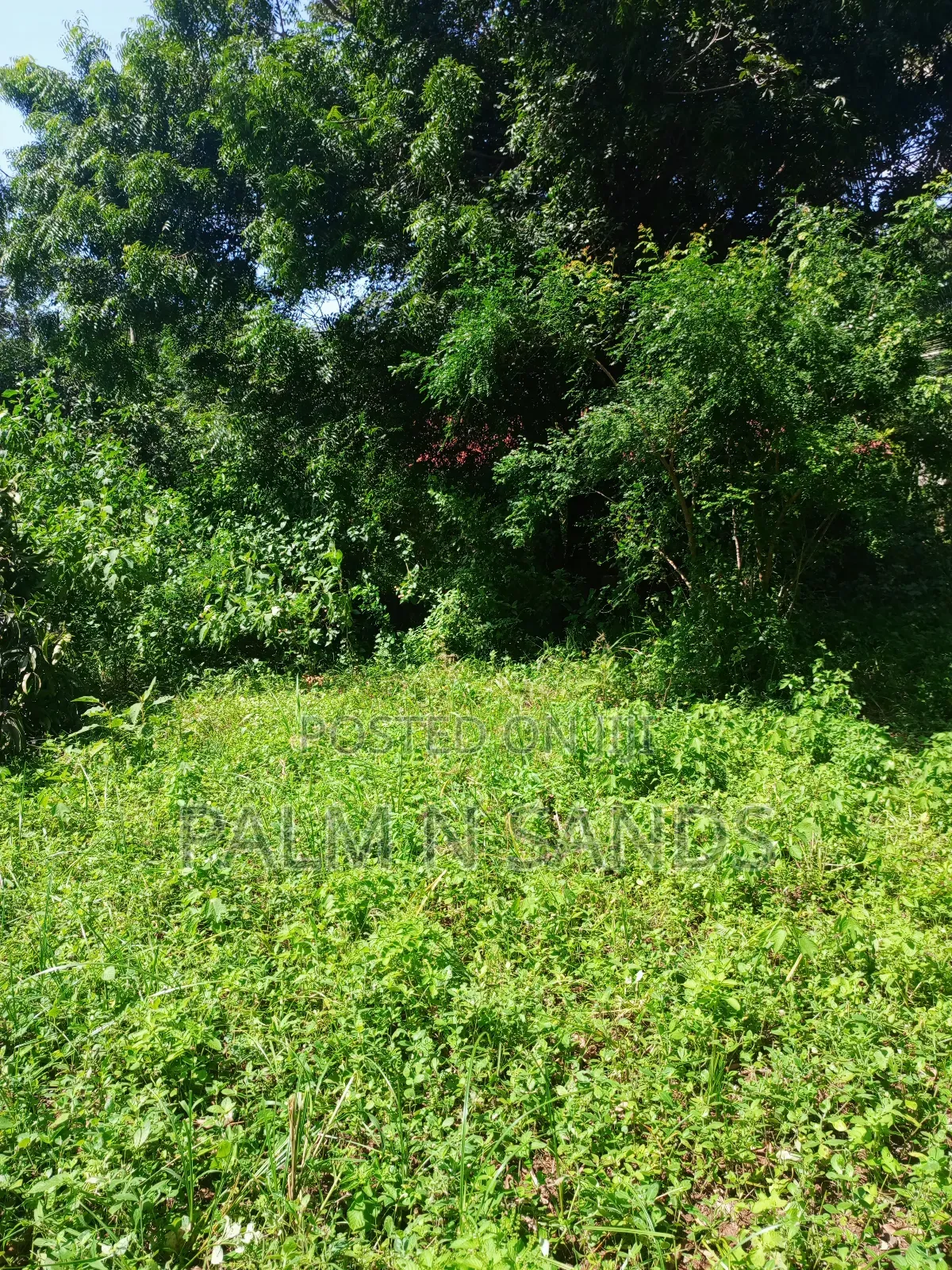 1/4 Acre on Sale in Mvideni Diani! in Ukunda