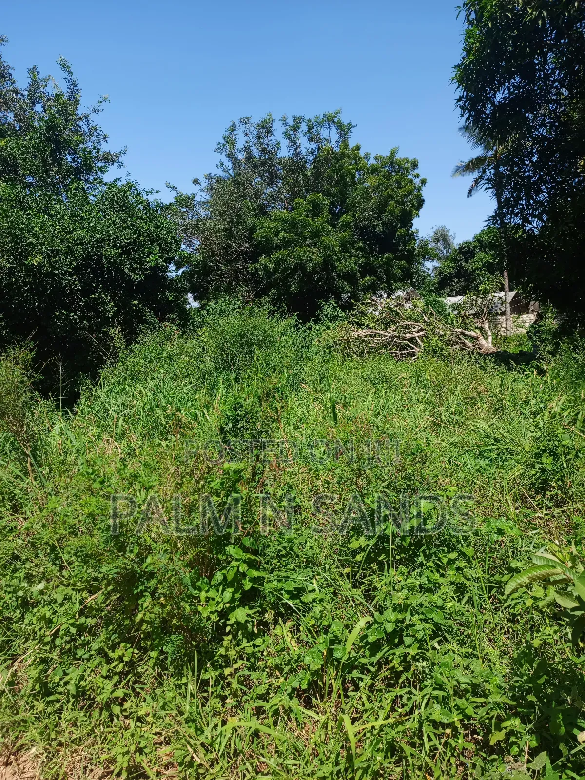 1/4 Acre on Sale in Mvideni Diani! in Ukunda
