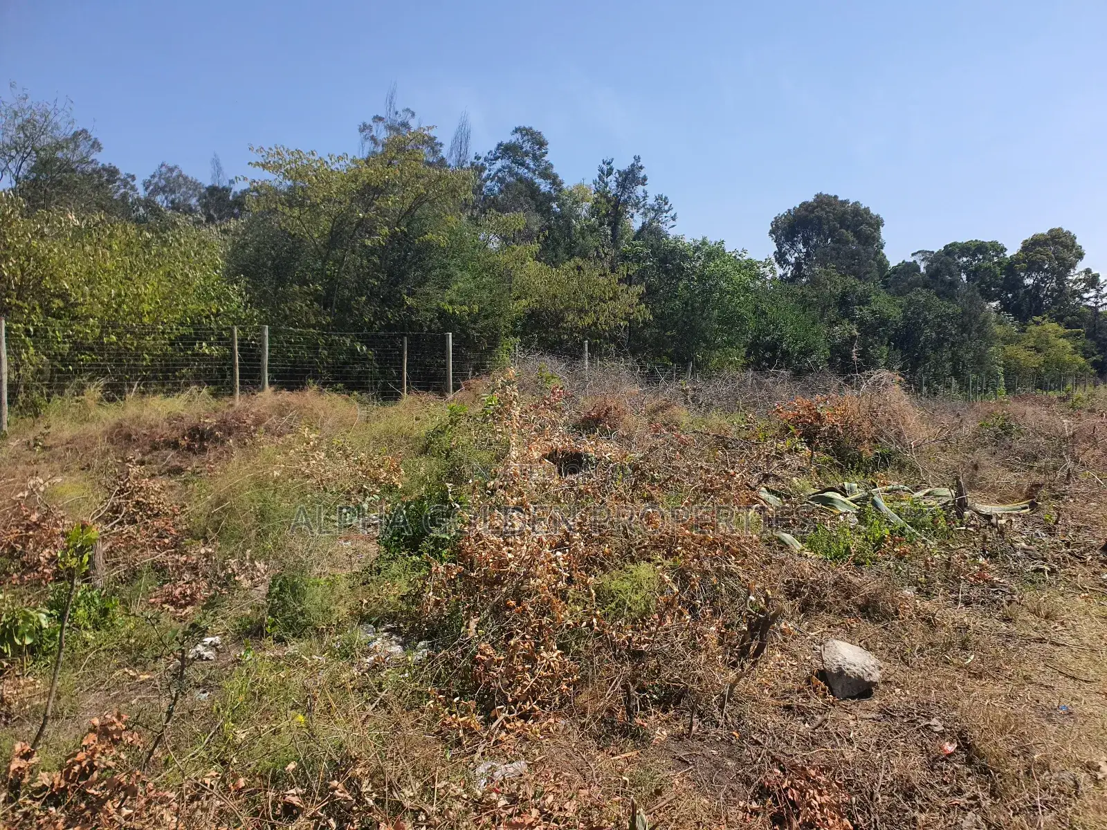 Narumoru 5 Acres on Tarmac in Laikipia Central