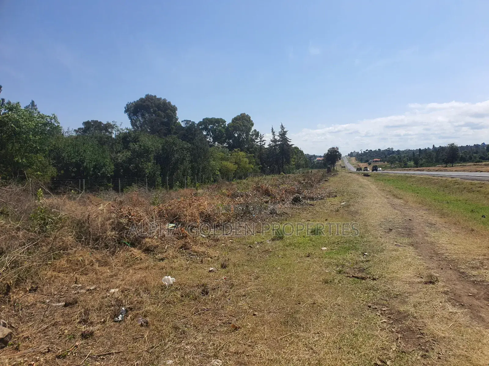 Narumoru 5 Acres on Tarmac in Laikipia Central