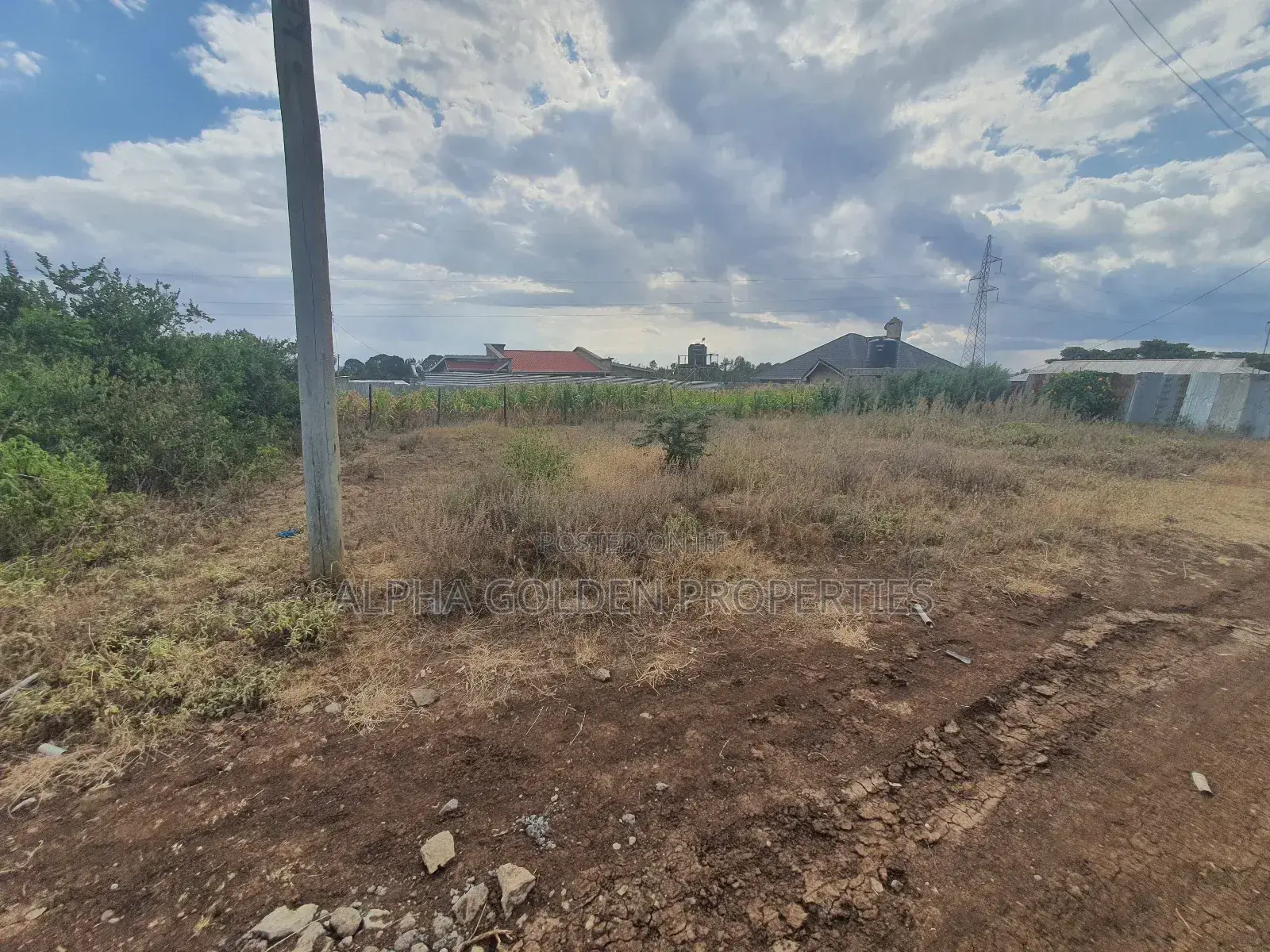 Nanyuki Plots Near Tarmac in Laikipia Central