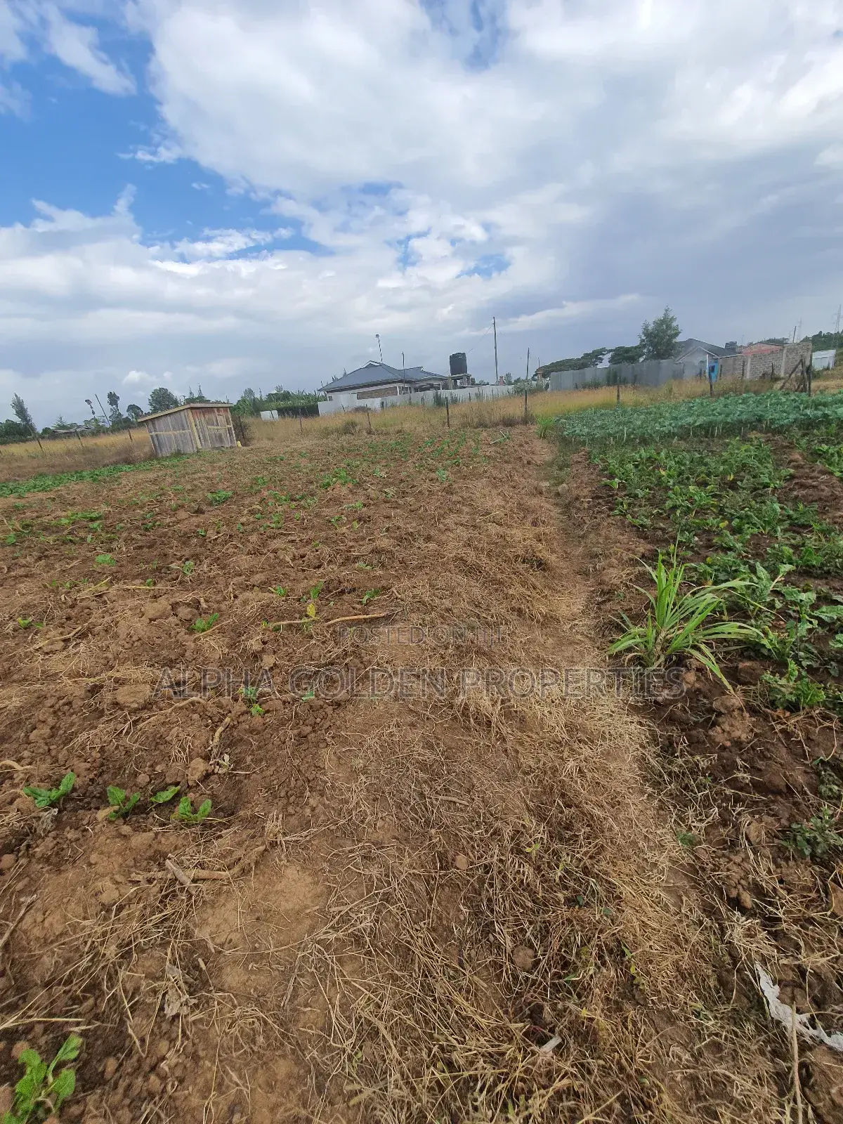 Nanyuki Plots Near Tarmac in Laikipia Central