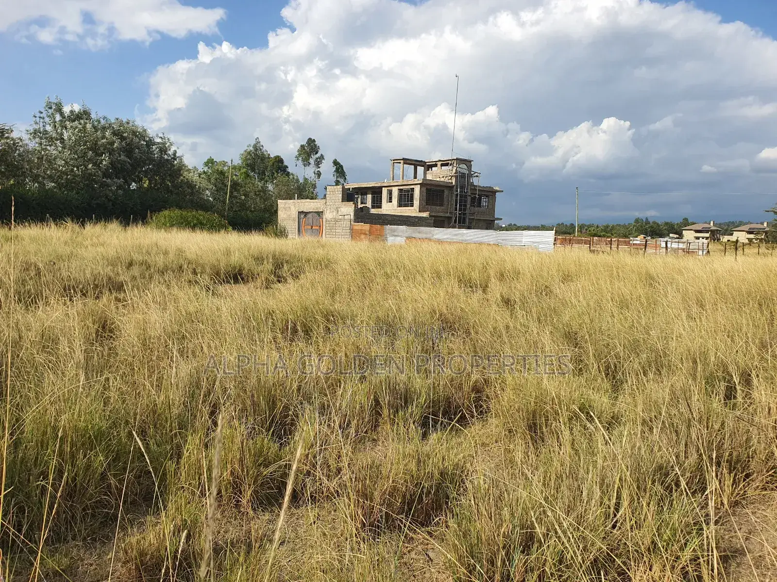 Nanyuki Airstrip Area Plots in Laikipia Central
