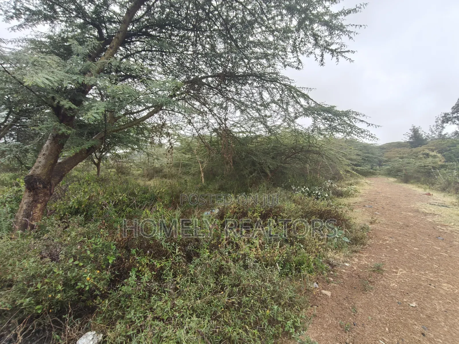 Residential Eighth Acre Estate Plot in Ongata Rongai, Rimpa in Rimpa