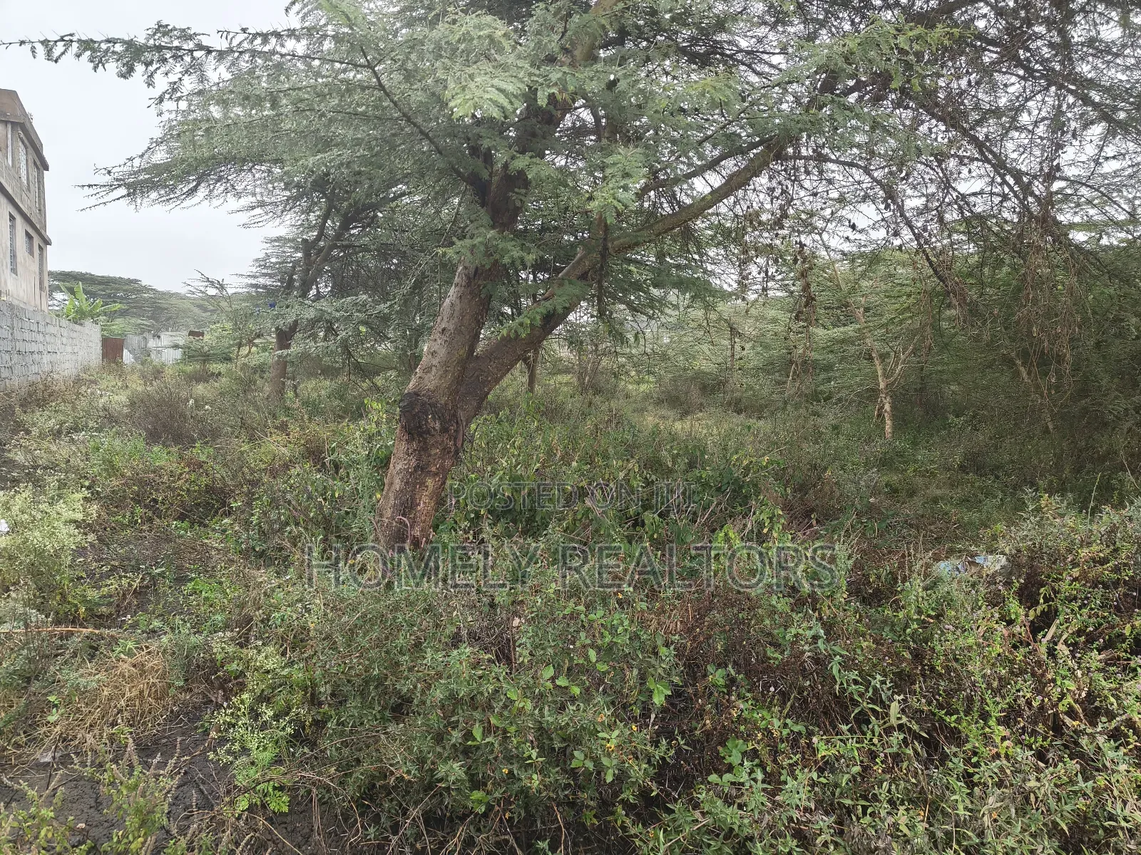 Residential Eighth Acre Estate Plot in Ongata Rongai, Rimpa in Rimpa