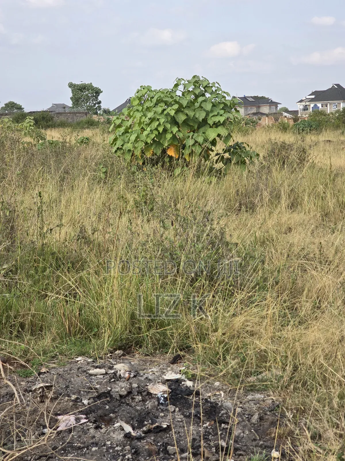 40x80 Plots in Tola Estate(Ngoingwa) in Thika