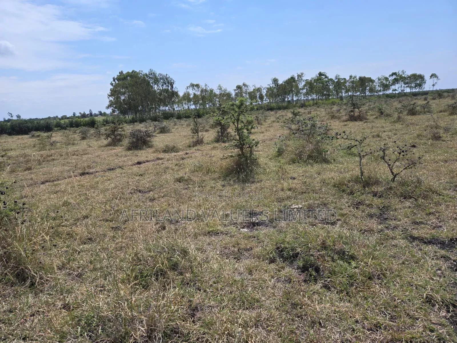 Plots for Sale in Tuala Next to Rockfields in Kiserian