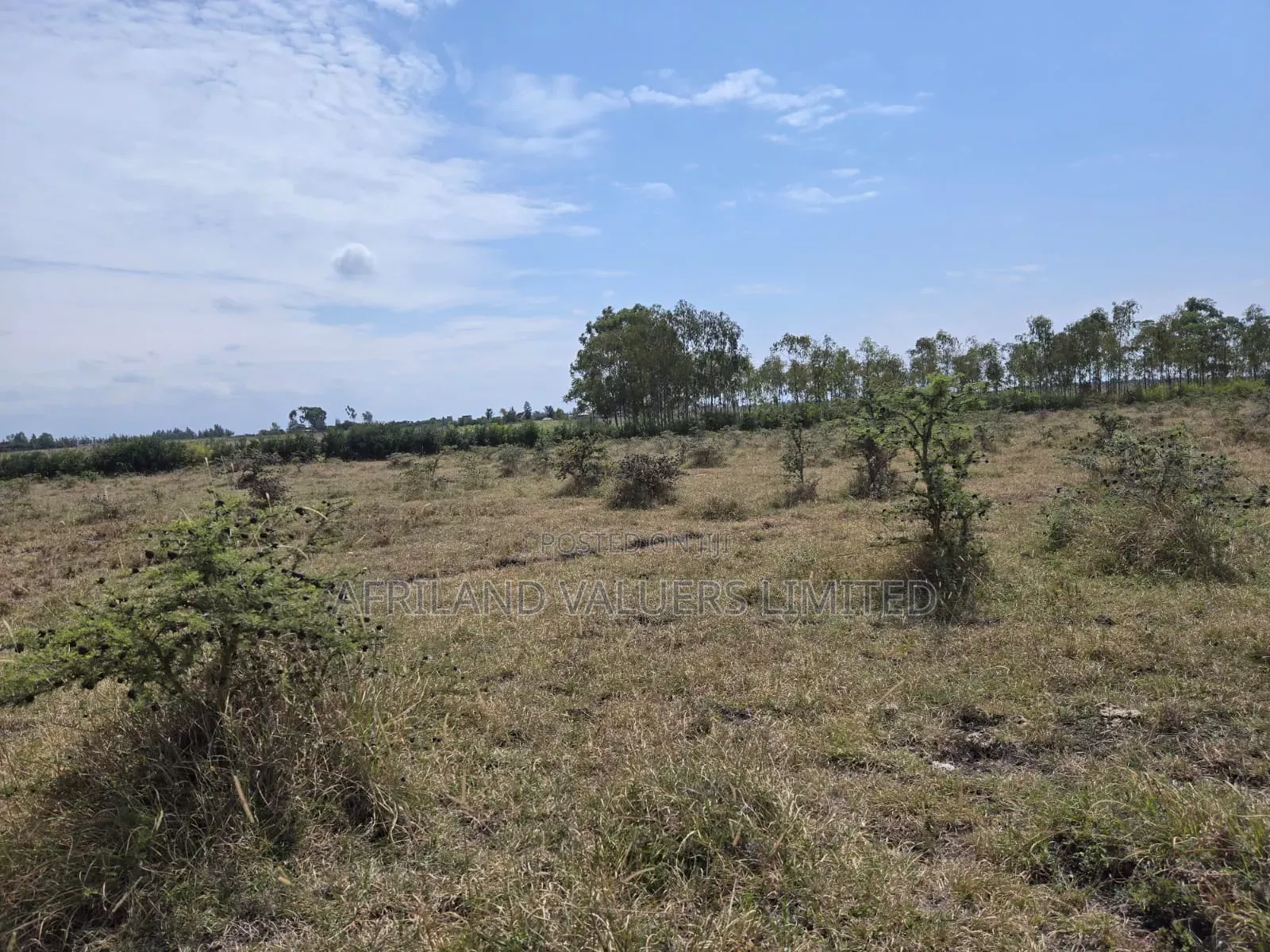 Plots for Sale in Tuala Next to Rockfields in Kiserian